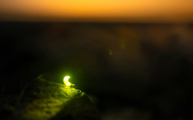 small luminiscent item at sunset
