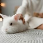 a person holding a white rabbit