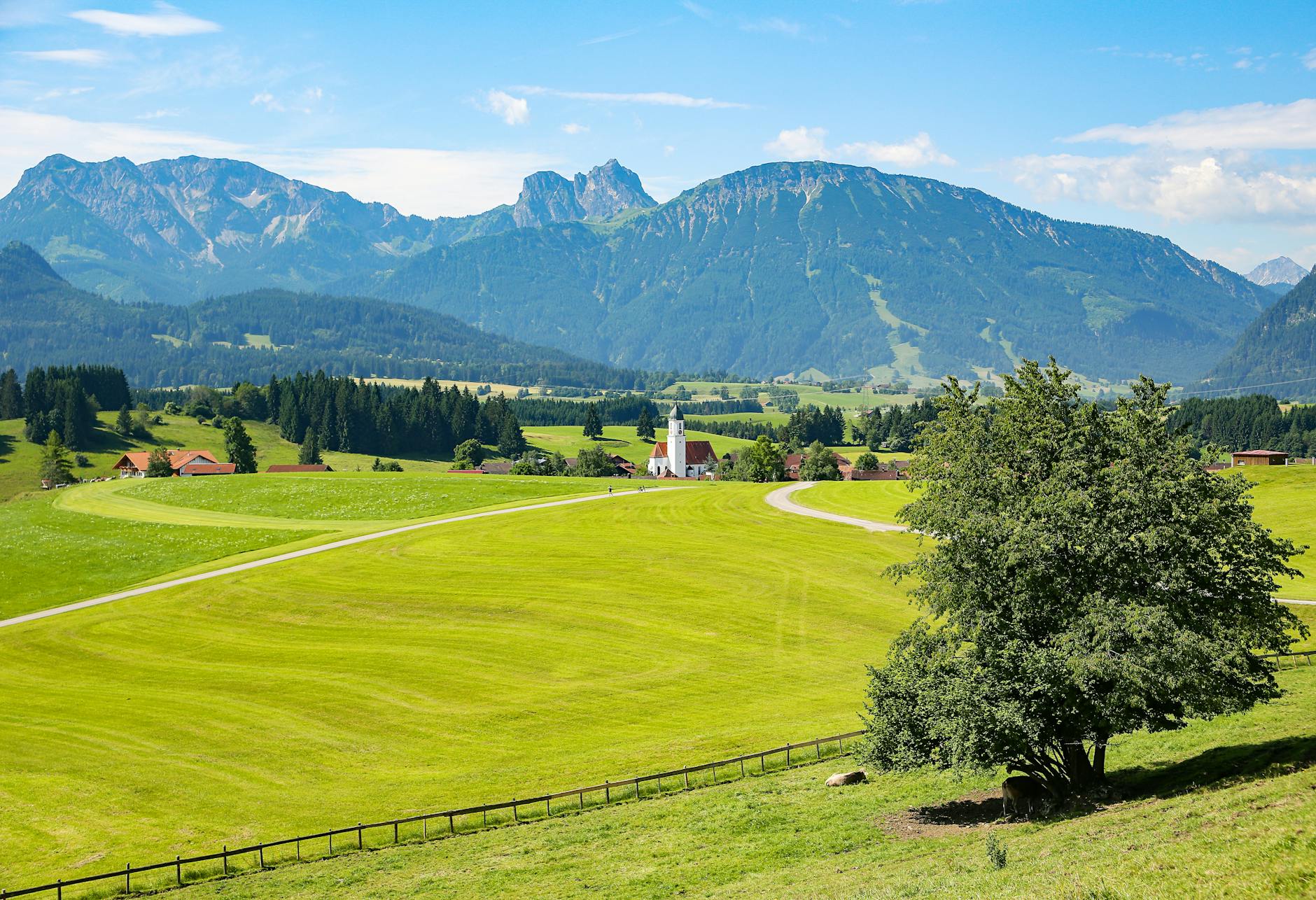 allgau-eisenberg-ostallgau-bavaria-161097 Arti Mimpi Berada di Padang Rumput