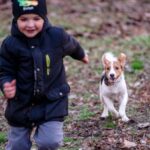 dog running towards a young boy