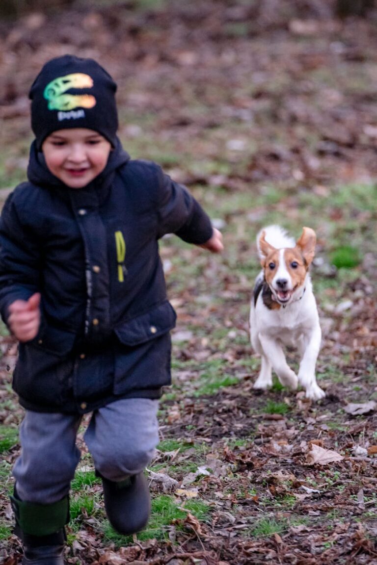 dog running towards a young boy