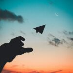 silhouette photo of man throw paper plane