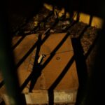 abandoned cardboard box in shadow