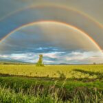 crop field under rainbow and cloudy skies at dayime
