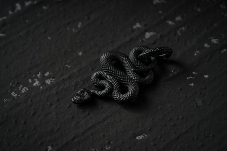 black snake on the ground