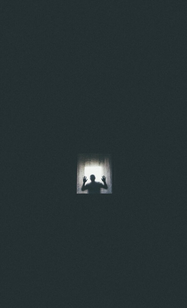 silhuoette of a person