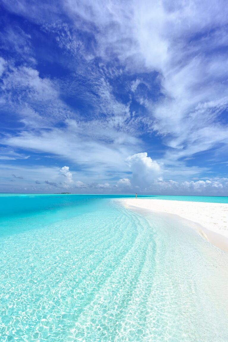 photo of beach under blue sky scenery