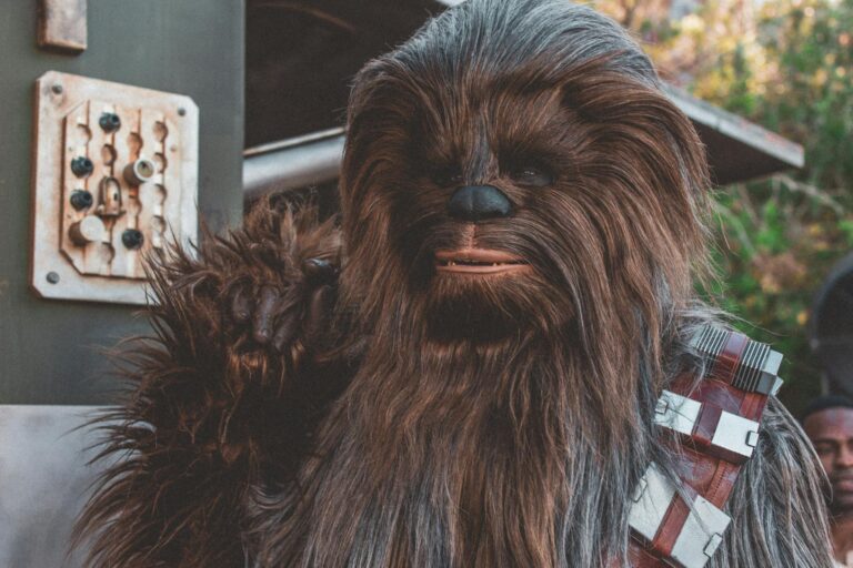 chewbacca of star wars