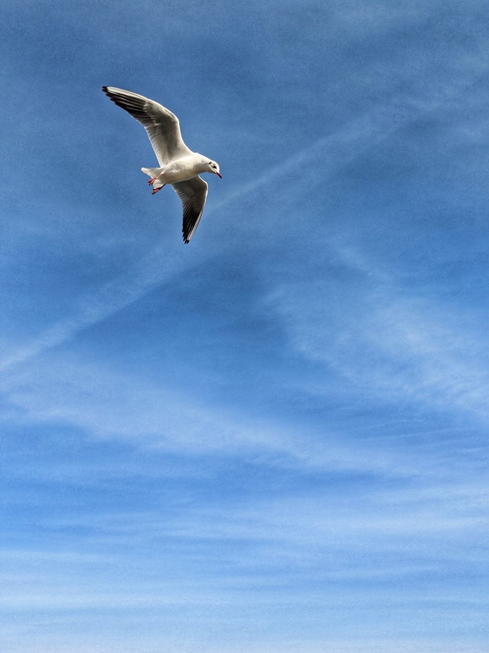 pexels-photo-3883860 Arti Mimpi Langit Biru Cerah