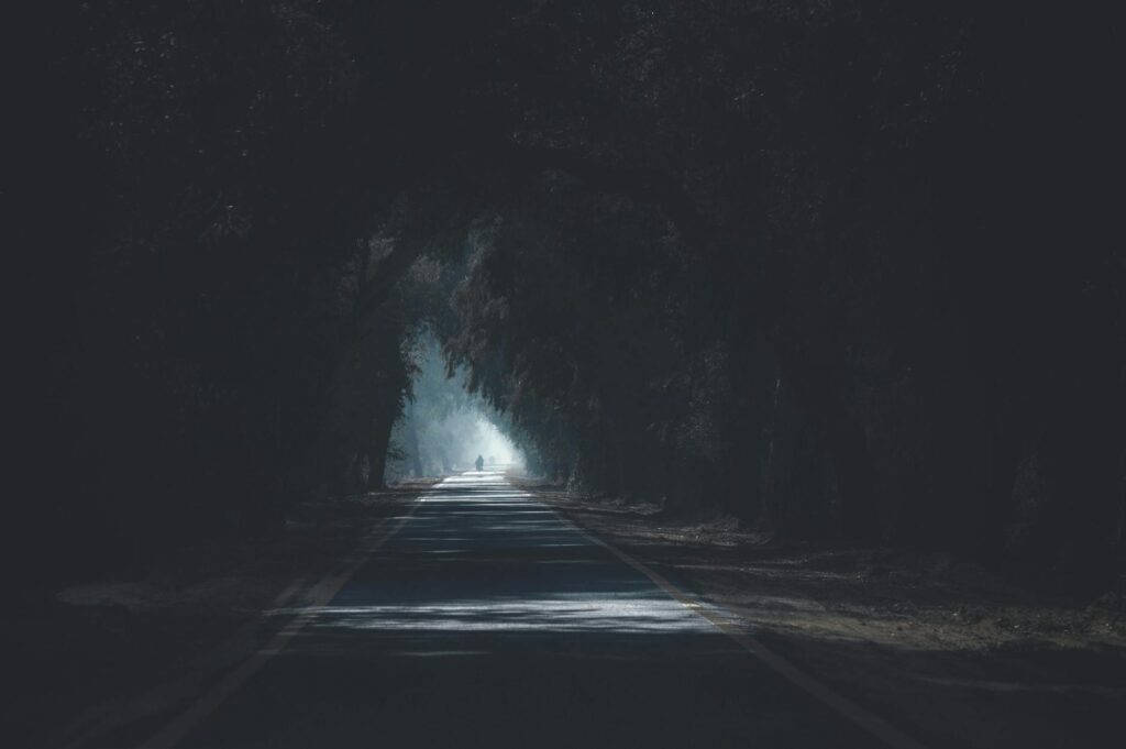 concrete road surrounded by trees