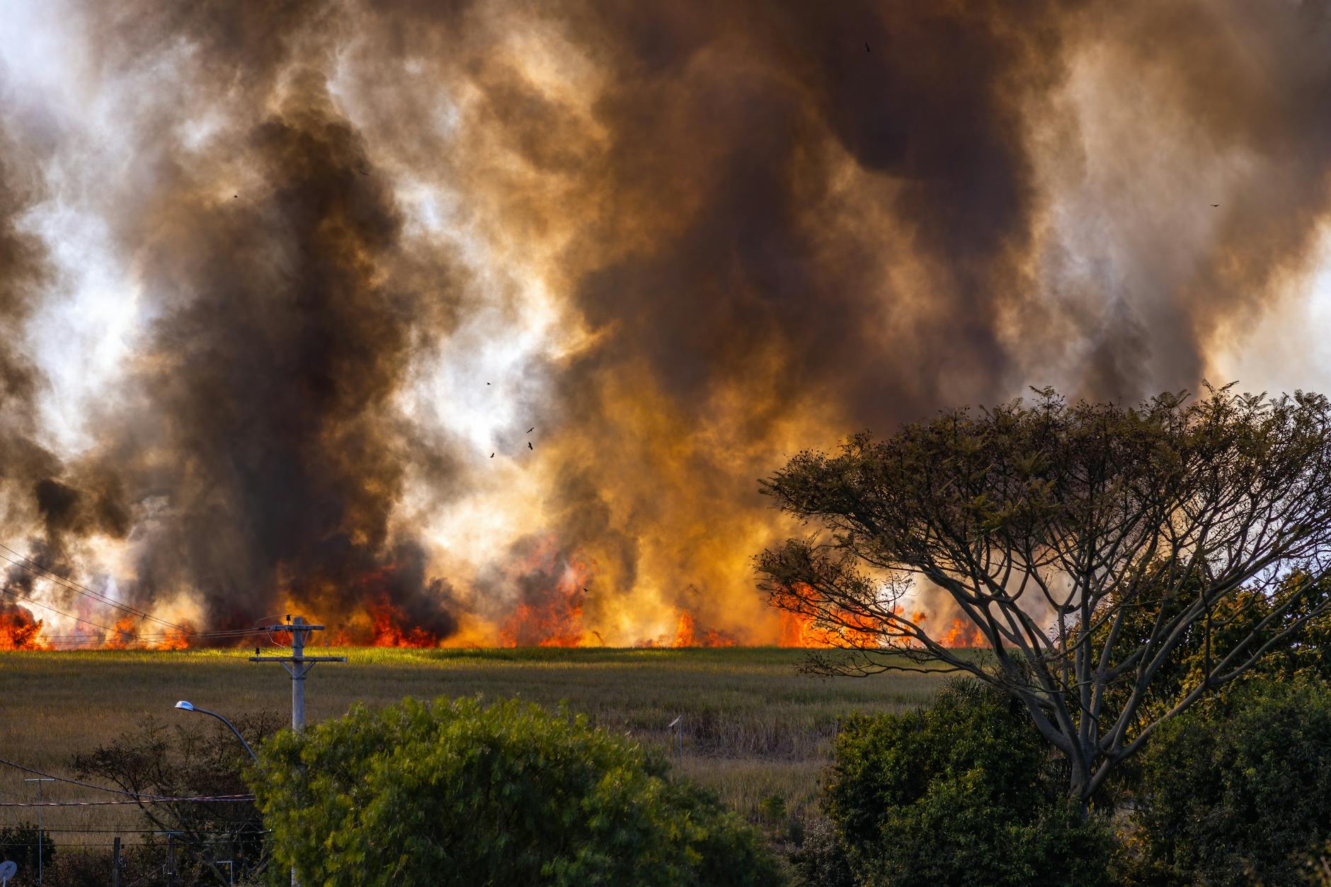 pexels-photo-12027861 Arti Mimpi Tentang Pohon Terbakar