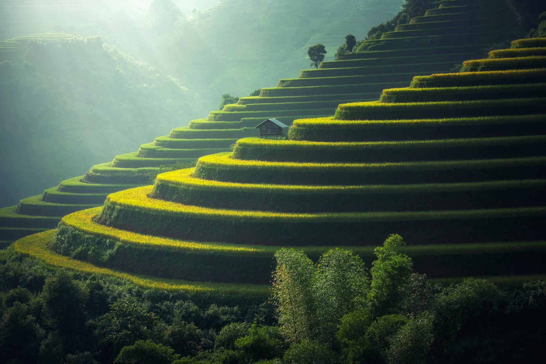 pexels-photo-247599 Arti Mimpi Liat Pegunungan Hijau