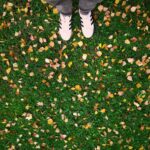 fall leaves on grass with sneakers