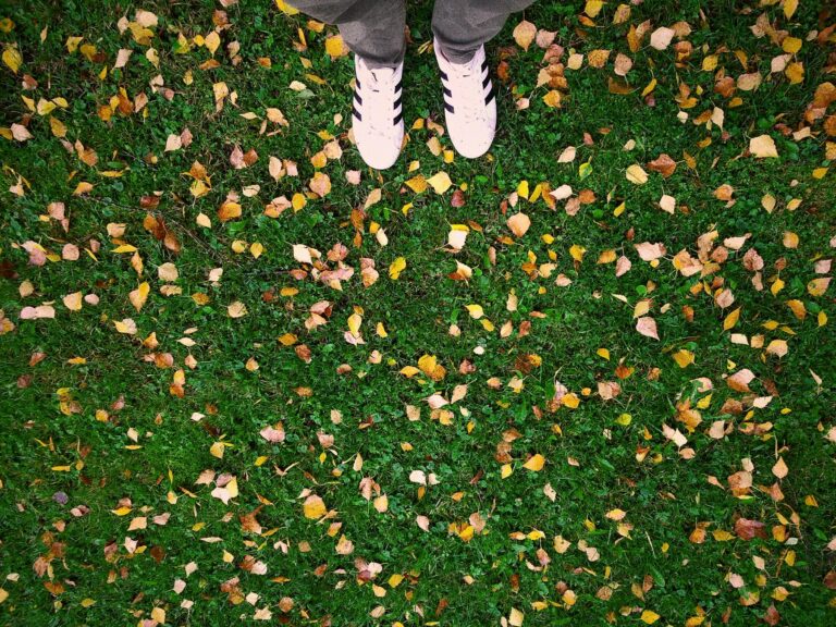 fall leaves on grass with sneakers