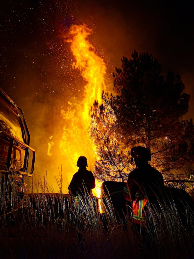 firemen fighting a bush fire at night