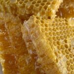 delicious honeycomb filled with honey