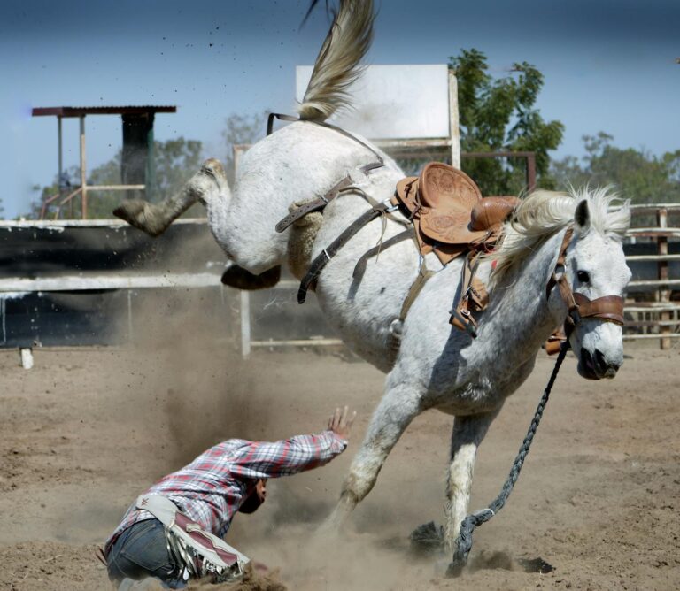 white horse kicking while man on ground