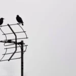Erek Erek 2D Arti Mimpi Antena Patah - Mimpi adalah pengalaman bawah sadar yang seringkali membawa simbol atau pesan tertentu.