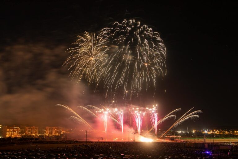 a fireworks display at night
