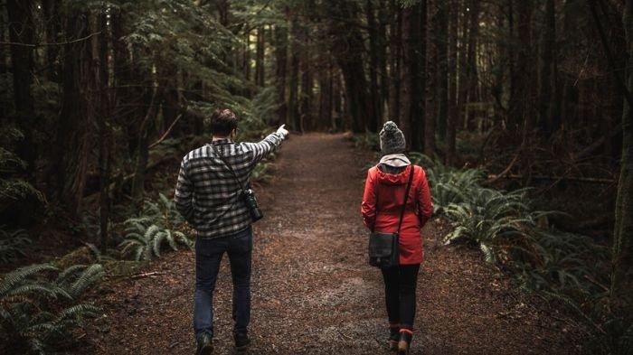 5-Arti-Mimpi-Berjalan-di-Hutan-Perjalanan-Menjelajahi-Diri-dari-Alam-Pikiran-atau-Emosi Arti Mimpi Jalan-jalan: Pertanda Bebas, Rindu, atau Pencarian Diri?