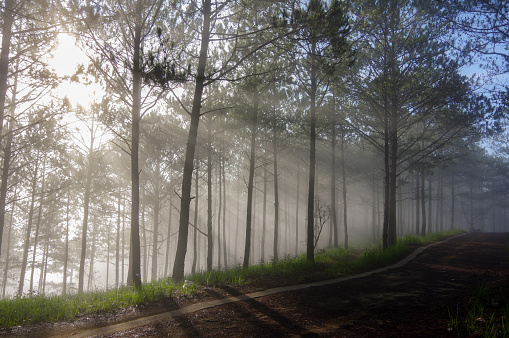 istockphoto-1151521652-170667a Arti Mimpi Melihat Kabut Tebal: Pertanda Misteri, Perasaan dan Petunjuk Alam Bawah Sadar