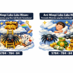 Arti Mimpi Laba-Laba Hitam: Pertanda Misterius yang Bisa Jadi Rezeki Tersembunyi!